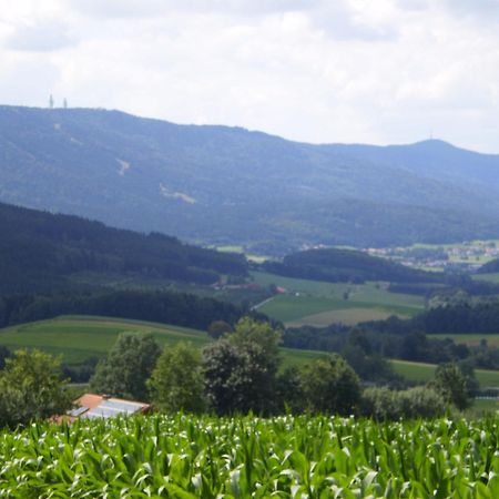 Gasthof - Pension Schamberger นูเคอร์เคน ไบม์ ไฮลิเงน บลูท ภายนอก รูปภาพ